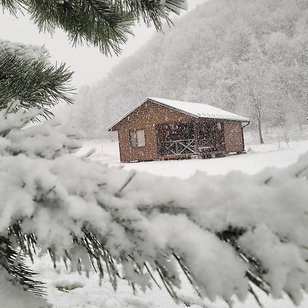 Villa Оберіг à Sheshory Extérieur photo