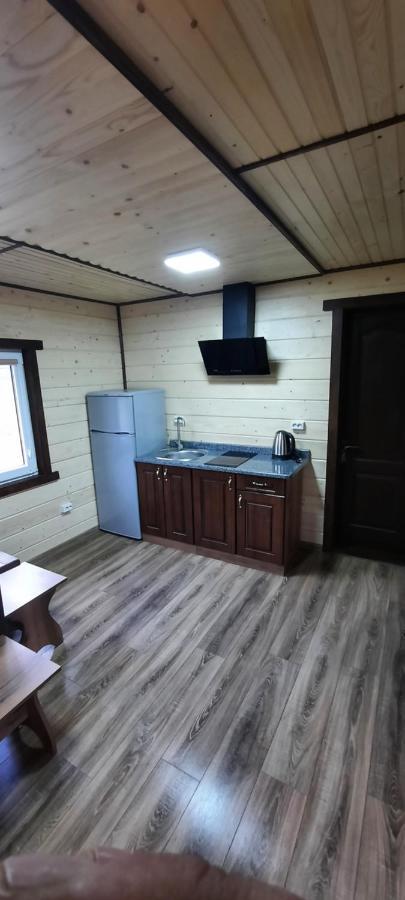 Villa Оберіг à Sheshory Extérieur photo