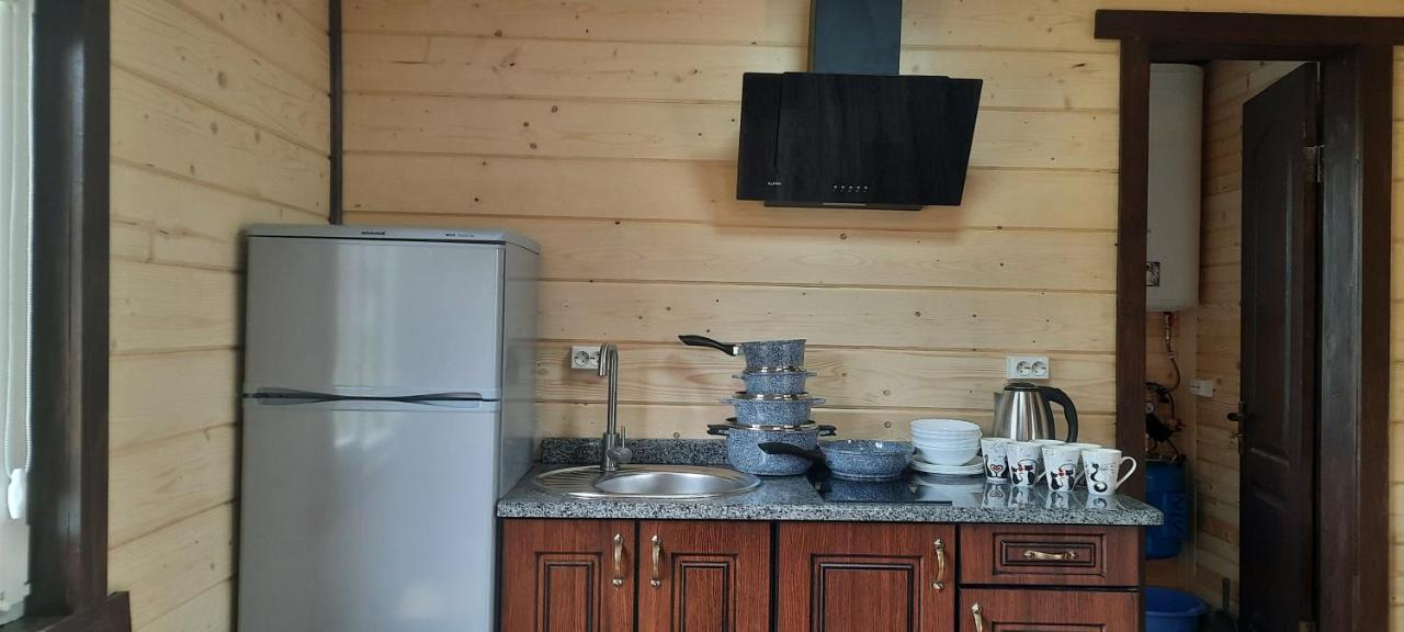 Villa Оберіг à Sheshory Extérieur photo