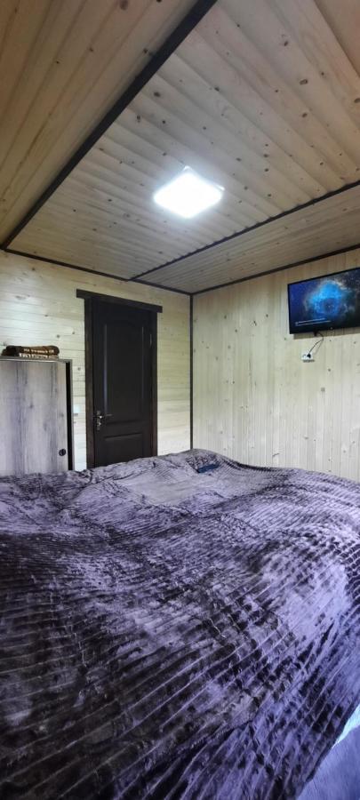 Villa Оберіг à Sheshory Extérieur photo